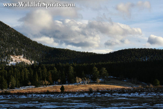 Click Picture to send as an  E-PostCard 62k 550x367